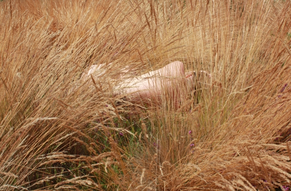 http://www.aurelineroy.com/files/gimgs/1_dosepis.jpg